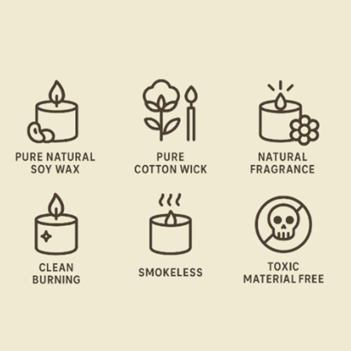 8 Pcs Petalwood Charm Soy Wax Concrete Container Tea Light Candle Set