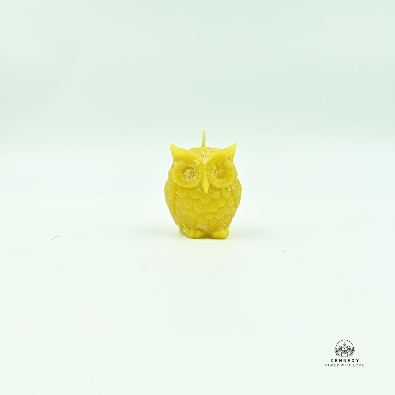 Baby Owl Pair Unique Desk, Shelf & Home Decoration , Money Spell , Good Luck Spell