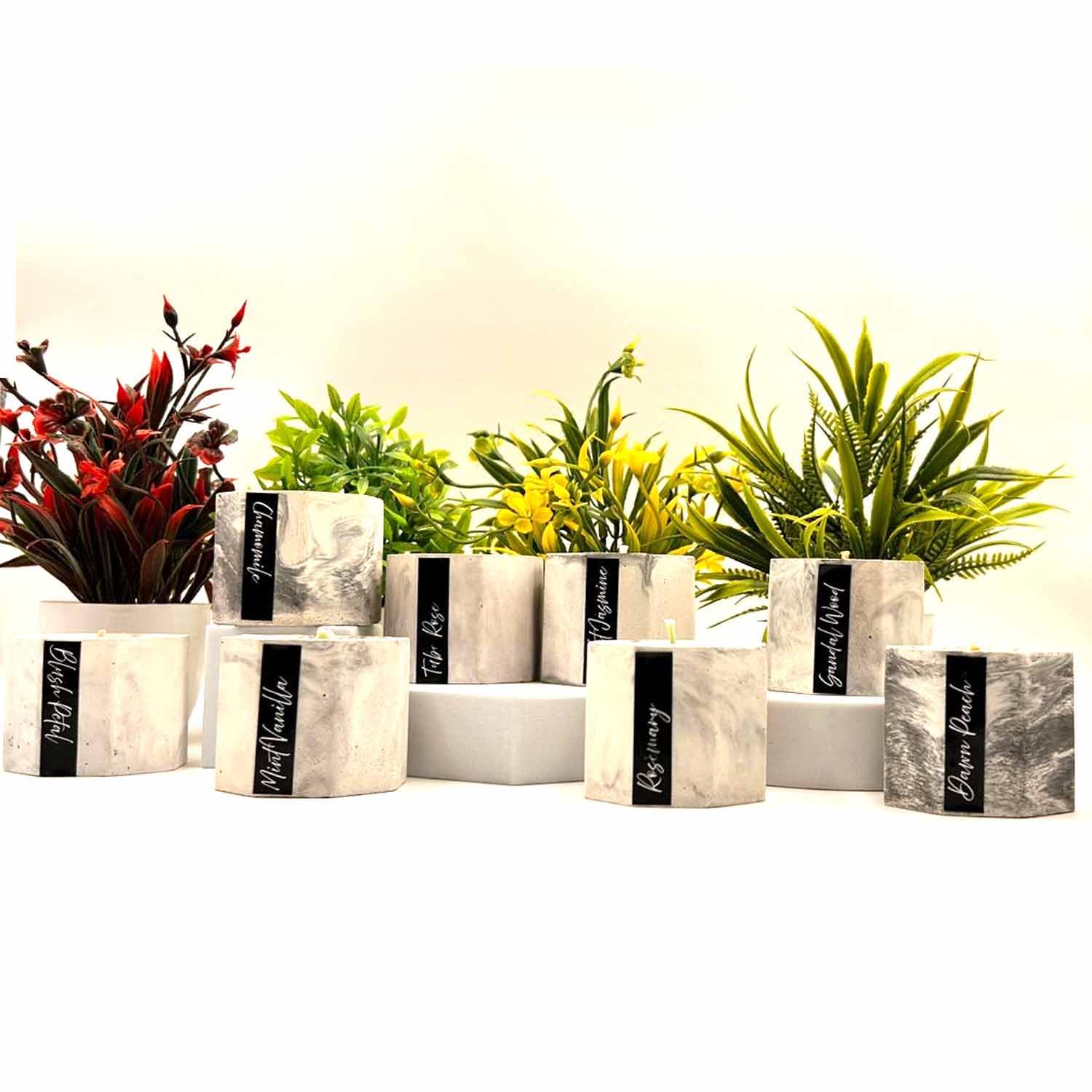 Petalwood Charm Soy Wax Cement Jar Candle Set – 8-Piece Dripless Gift Box