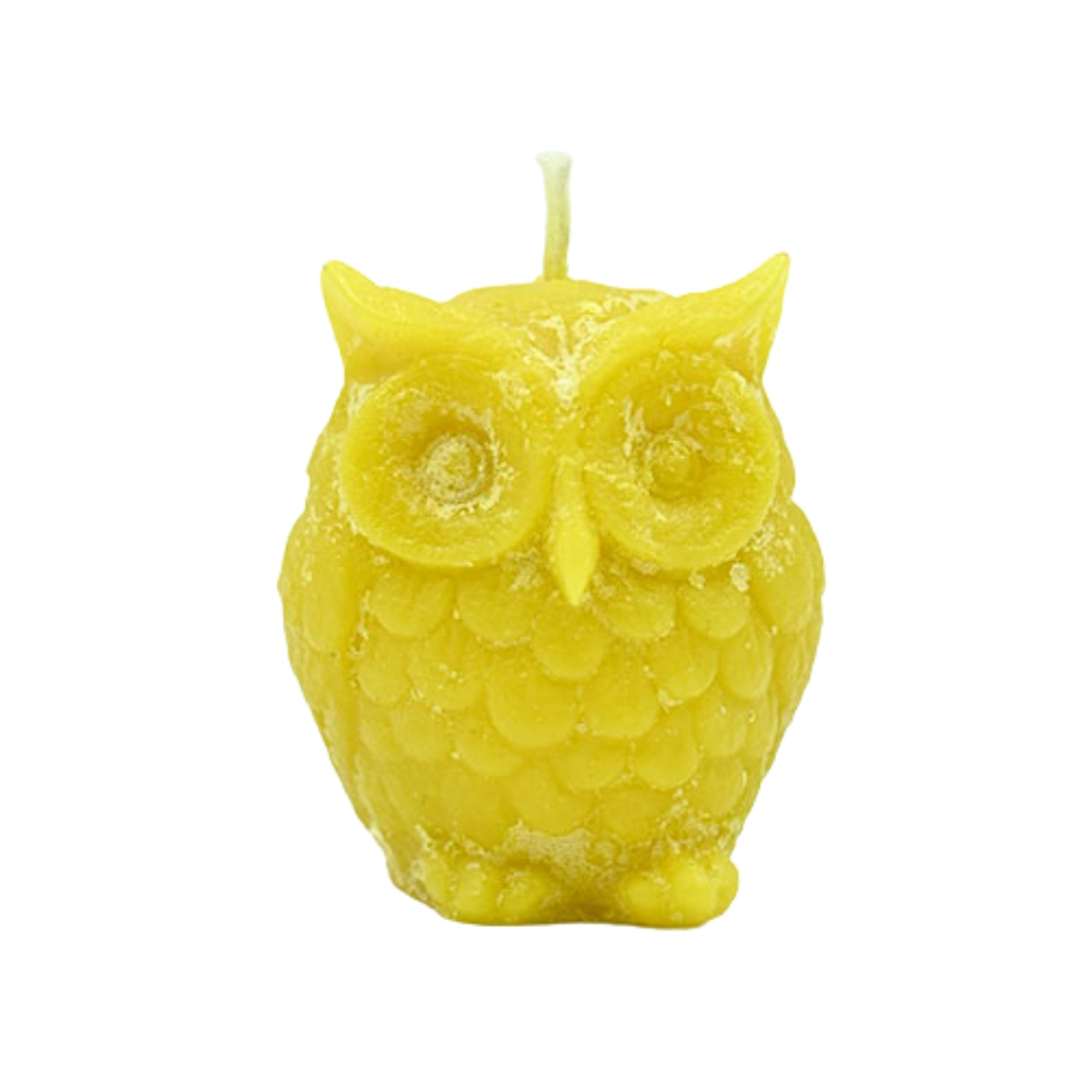 Baby Owl Pair Unique Desk, Shelf & Home Decoration , Money Spell , Good Luck Spell