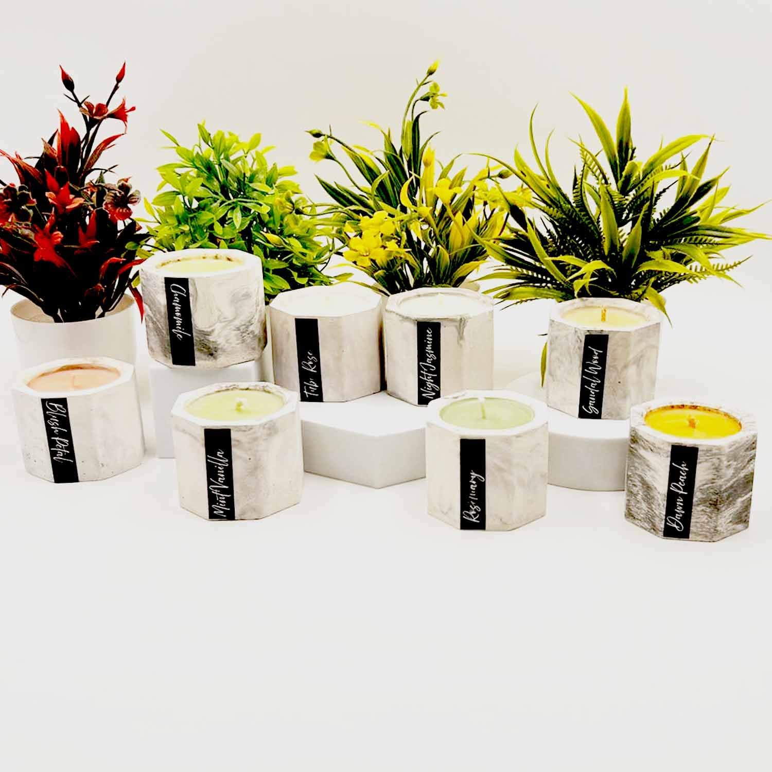 Petalwood Charm Soy Wax Cement Jar Candle Set – 8-Piece Dripless Gift Box